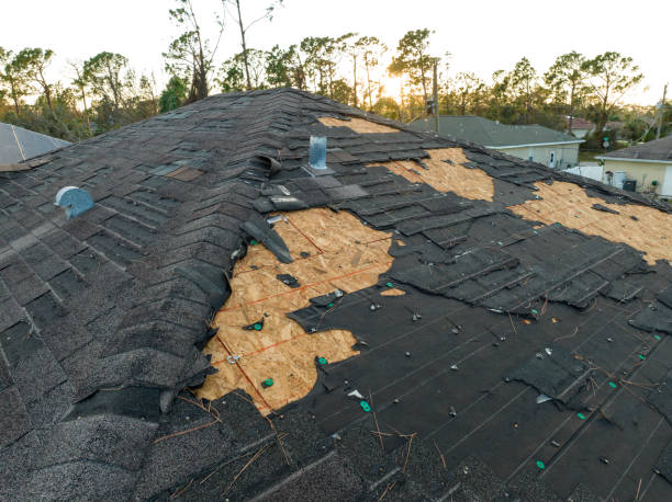 Best Roof Maintenance  in Windcrest, TX