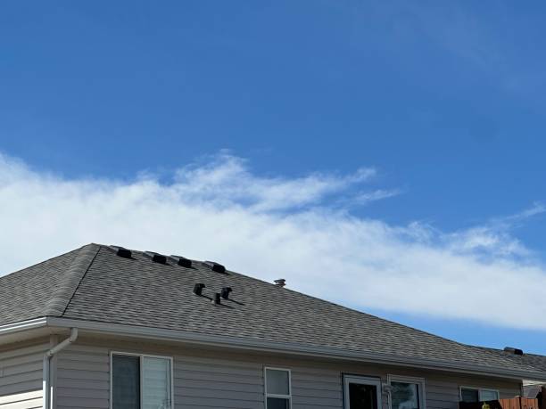 Best Roof Leak Repair  in Windcrest, TX